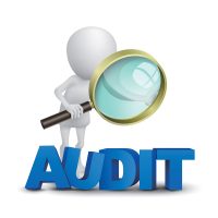 Quality-Audit
